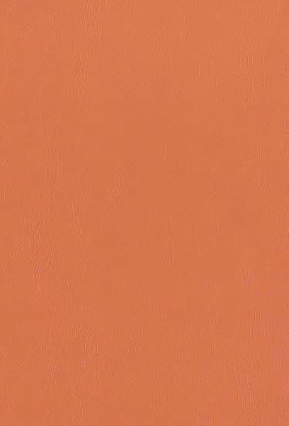 愛馬仕橙